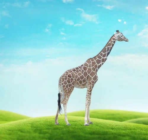 آموزش طراحی موجود خیالی در فتوشاپ